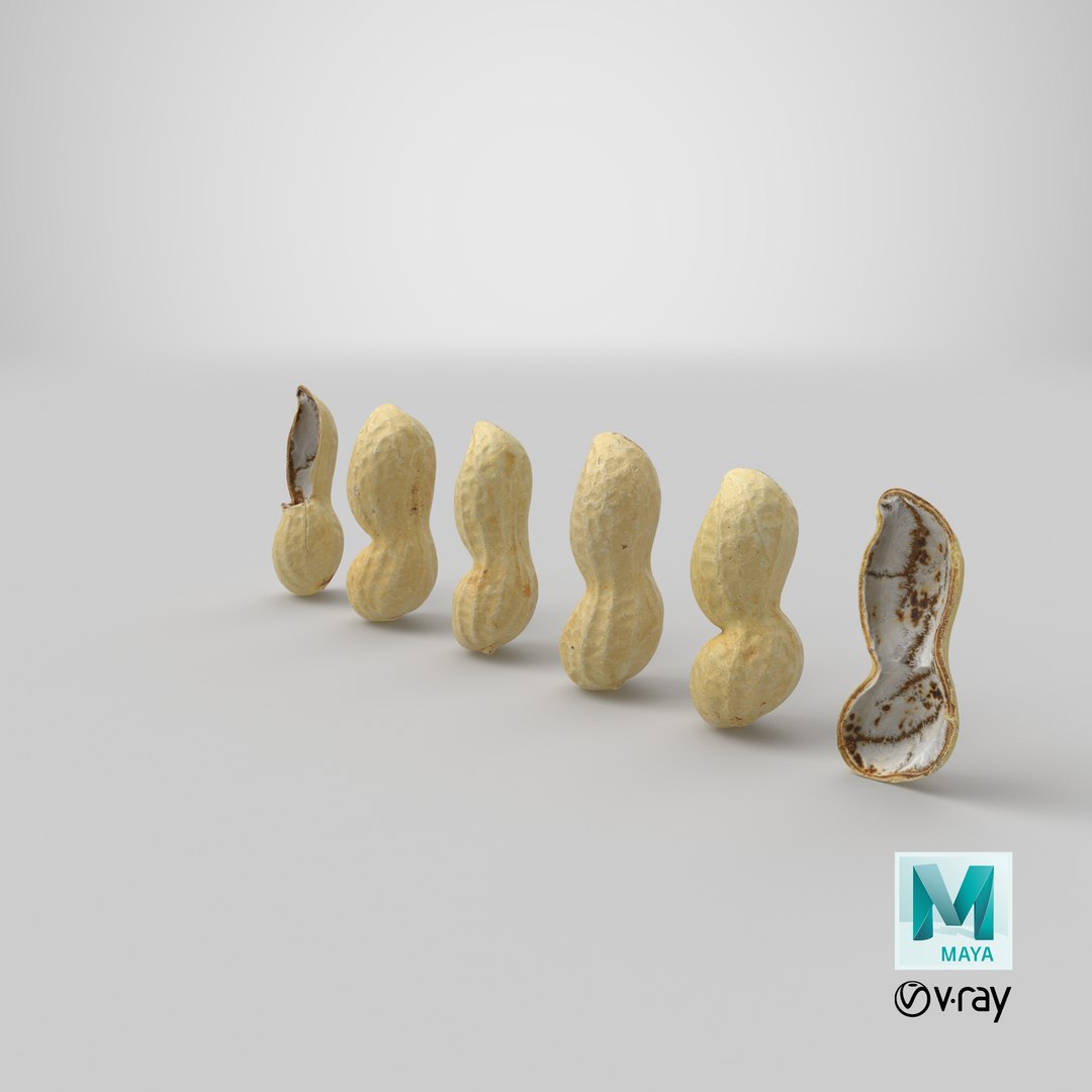 Peanut Shell Collection 2 3D model https://p.turbosquid.com/ts-thumb/NG/w1RYVz/wa/stemcell_maya_vray_render/png/1664355334/1920x1080/fit_q87/f538c211e19da8da98538471c5825980ebdcf4a3/stemcell_maya_vray_render.jpg