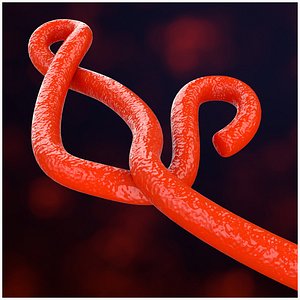 ebolavirus 3D