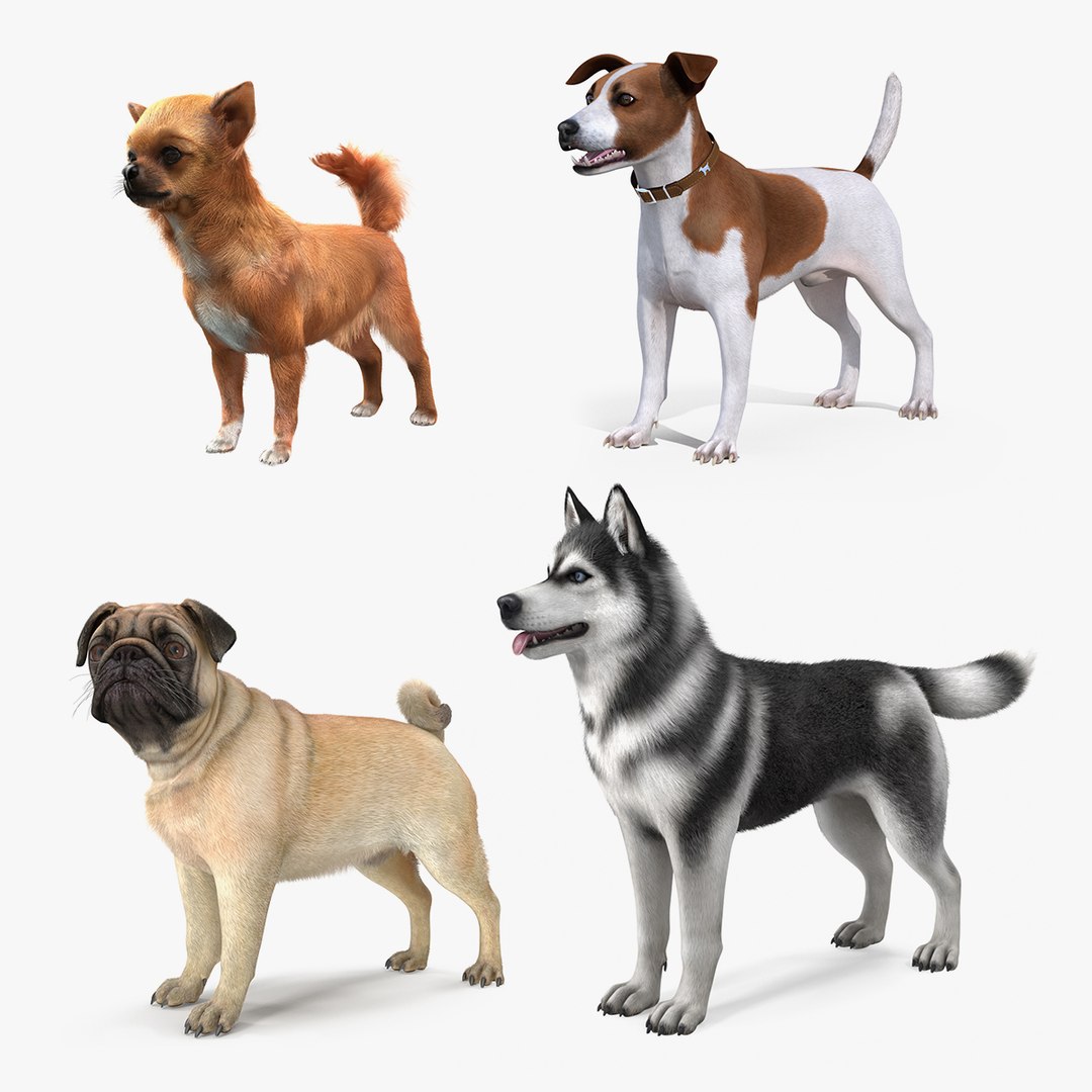 Dogs Collection 3 3D model preview