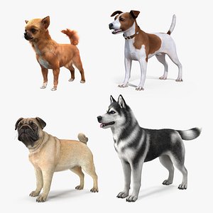 3D Dogs Collection 3 model