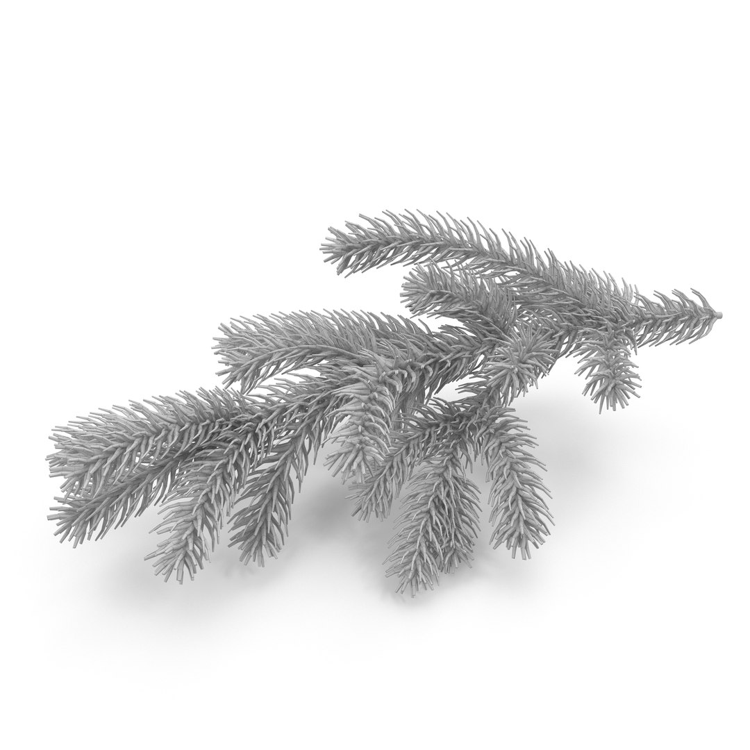 christmas branch 3d max https://p.turbosquid.com/ts-thumb/NH/HqgzCM/f7v8hlNf/christmas_branch2_5s2/jpg/1447146095/1920x1080/fit_q87/08be62c1e5fd4e67393c4e68d79fa9a349e98c0a/christmas_branch2_5s2.jpg