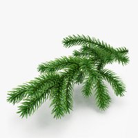 Christmas Fir Branch 2