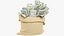 Coffre-fort et sac d'argent Collection V3