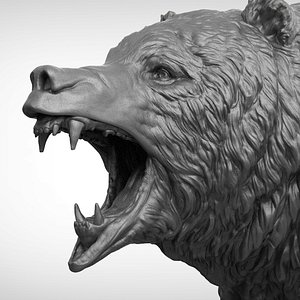 3D bear realistic head