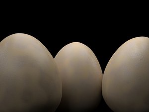 dinosaur egg model