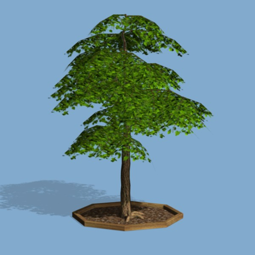 3d Tree Pl