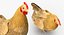 3D model rigged chickens
