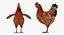 3D model rigged chickens