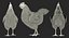 3D model rigged chickens