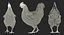 3D model rigged chickens
