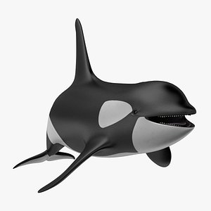 Orca - Killer Whale