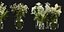 Collection plant vol 267 - blender model
