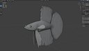Betta Fish 1