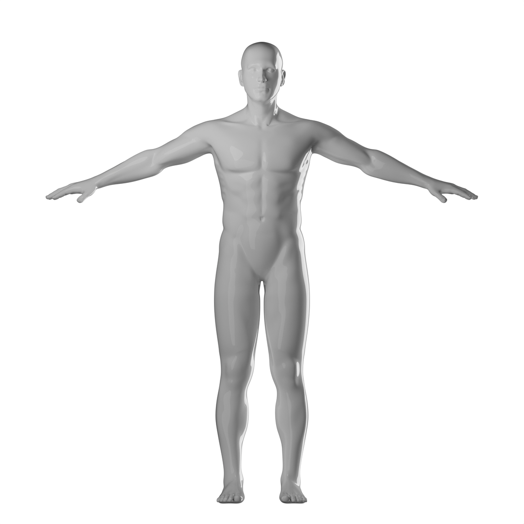 Male Mannequin Full Body Collection 3D model - TurboSquid 1894498