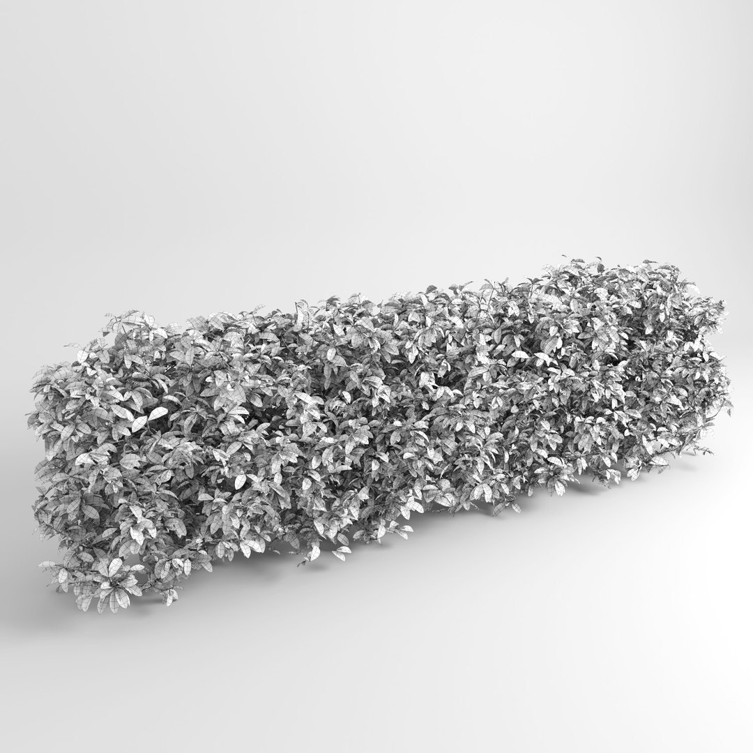 hedge iii max https://p.turbosquid.com/ts-thumb/NI/3MBpZg/5LCoWnDW/hedge_plants7/jpg/1540404879/1920x1080/fit_q87/ebb612c67d8ad927c856cacfdd1099e5bcd5a283/hedge_plants7.jpg