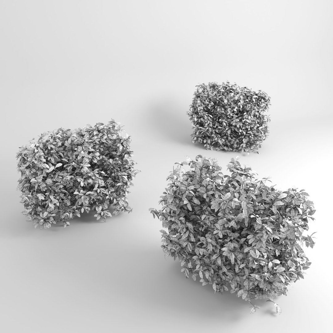 hedge iii max https://p.turbosquid.com/ts-thumb/NI/3MBpZg/BBadQRJD/hedge_plants10/jpg/1540404938/1920x1080/fit_q87/897406ed721ac6ec0eecfaa35009f860283b35c3/hedge_plants10.jpg