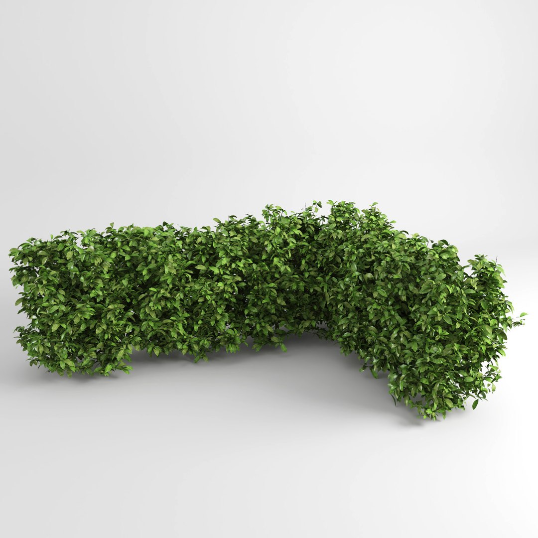 hedge iii max https://p.turbosquid.com/ts-thumb/NI/3MBpZg/QSpAbdK6/hedge_plants4/jpg/1540404842/1920x1080/fit_q87/0821bac5d80f6beb5907ab2ebac68f2d030bde9e/hedge_plants4.jpg