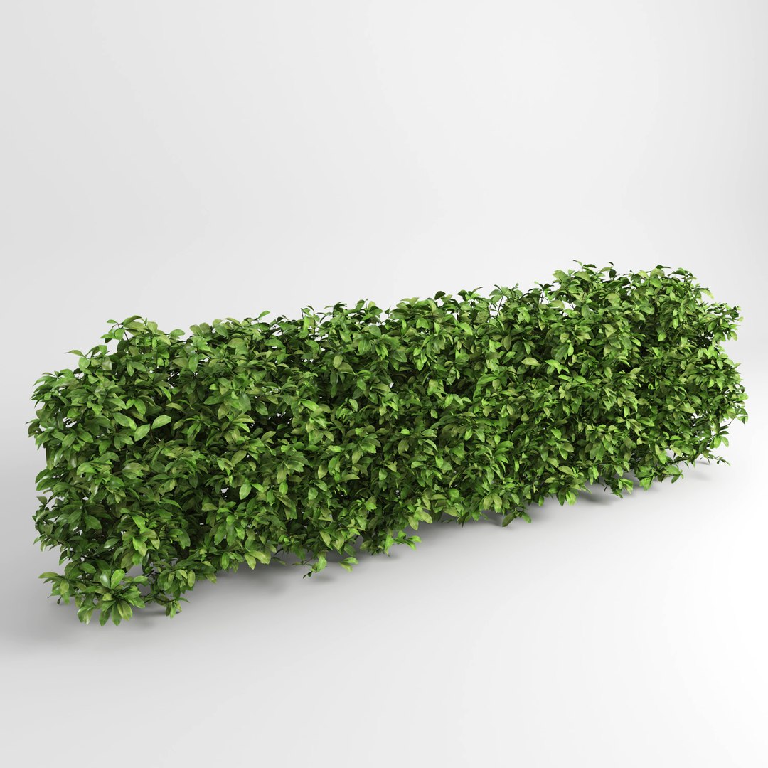 hedge iii max https://p.turbosquid.com/ts-thumb/NI/3MBpZg/ZHqFLgF4/hedge_plants2/jpg/1540404827/1920x1080/fit_q87/8ab8f85e1f6f288e02ee59979c6859bd6c897a1b/hedge_plants2.jpg