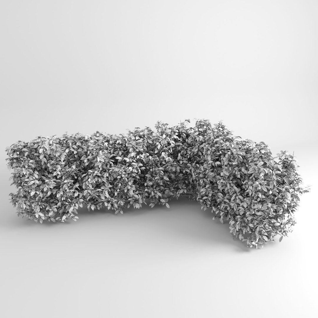 hedge iii max https://p.turbosquid.com/ts-thumb/NI/3MBpZg/avidHodB/hedge_plants9/jpg/1540404904/1920x1080/fit_q87/f48a728cef784c2f8d3336c81dfb27482176bf7a/hedge_plants9.jpg