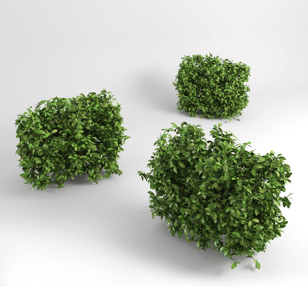 hedge iii max https://p.turbosquid.com/ts-thumb/NI/3MBpZg/fXVnyfTE/hedge_plants5/jpg/1540404842/1920x1080/fit_q87/3b9fd622677973ef94c381d4c4561bb55d2ddc91/hedge_plants5.jpg
