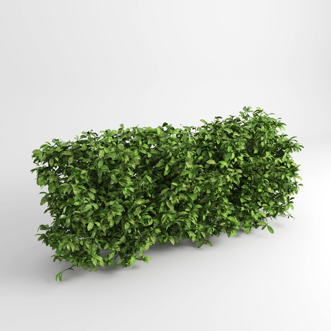 hedge iii max https://p.turbosquid.com/ts-thumb/NI/3MBpZg/sUa8Hz4r/hedge_plants3/jpg/1540404827/1920x1080/fit_q87/0420bed7a46089c633fbddf5fd5eba652bf65abe/hedge_plants3.jpg