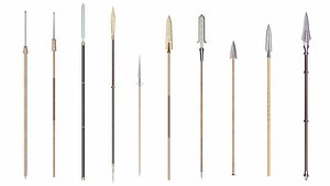 Collection of 10 spears