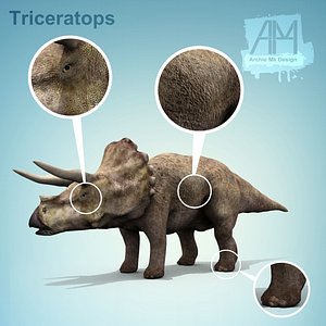 triceratops dinosaurs
