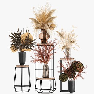 3D model Collection of bouquets of dried flowers 213
