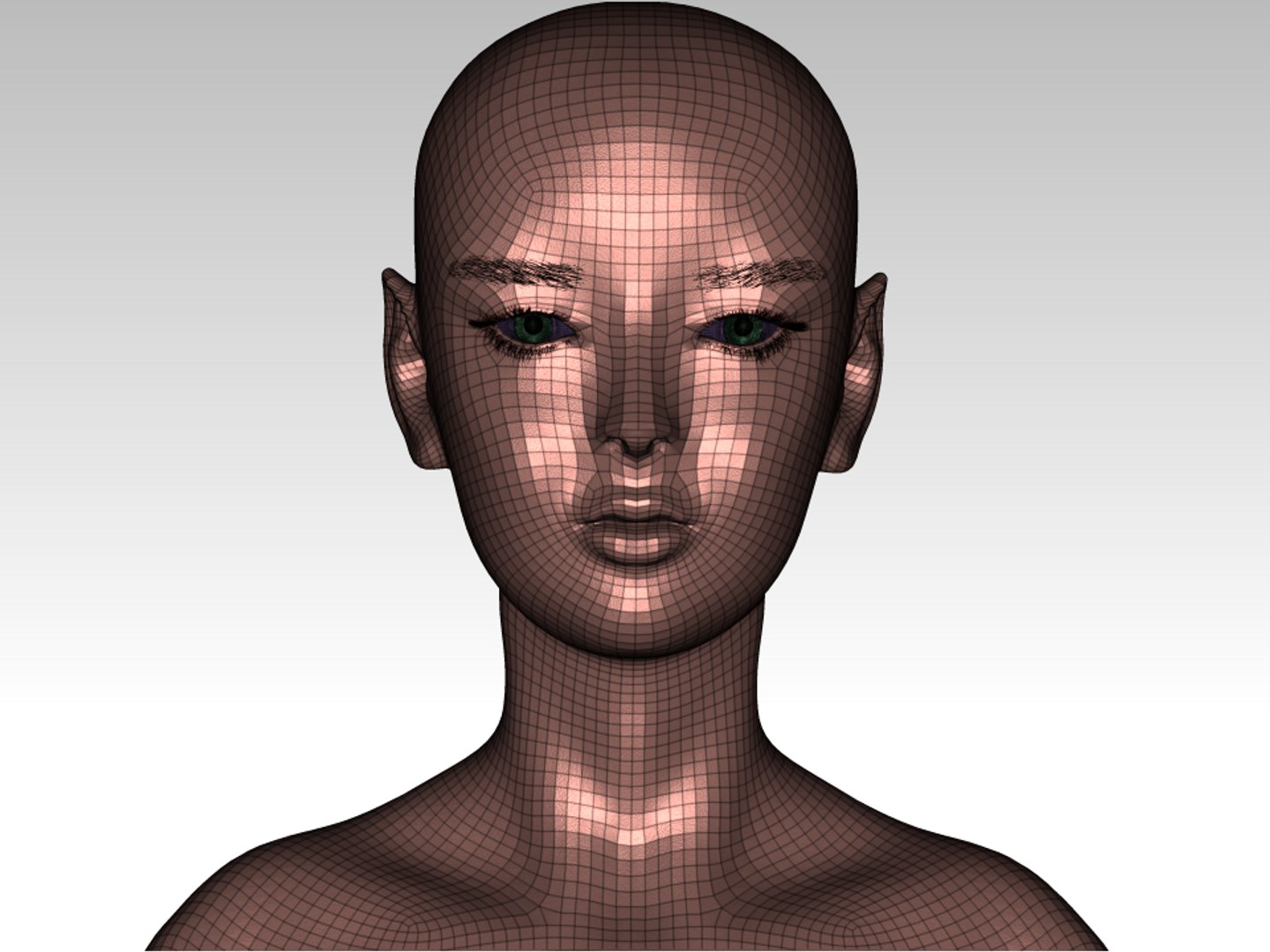 Female Head 3d Model Turbosquid 1611952