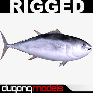 dugm02 giant bluefin tuna 3d model