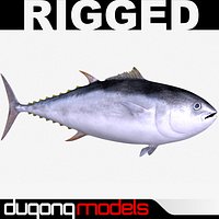 Giant Bluefin Tuna