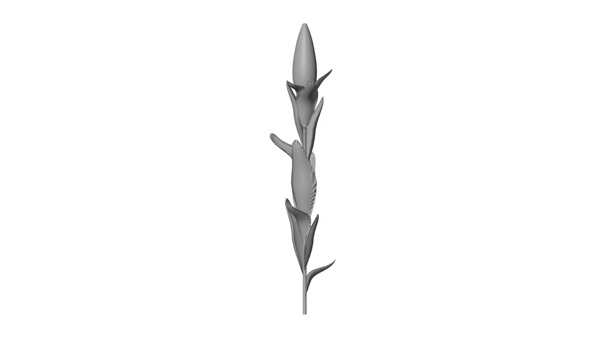 Corn Plant 3D model https://p.turbosquid.com/ts-thumb/NI/iW9vmp/3g/22_corn_solid/png/1778806977/1920x1080/fit_q87/2ec0cb281d75de7ae2b9099f936140e5910cac13/22_corn_solid.jpg