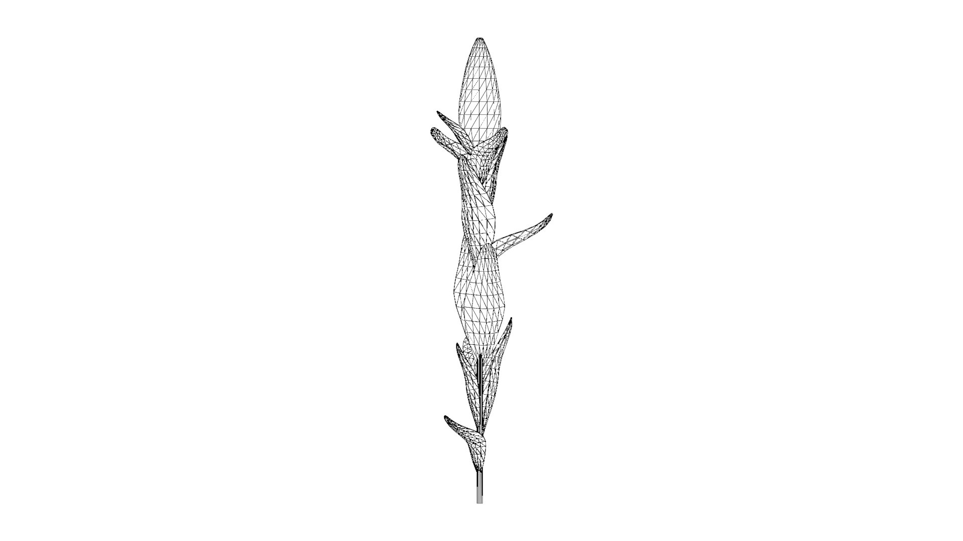 Corn Plant 3D model https://p.turbosquid.com/ts-thumb/NI/iW9vmp/70/43_corn_wireframe/png/1778806994/1920x1080/fit_q87/c65b6f0f7a656311d389665b94290d24ab1248b0/43_corn_wireframe.jpg