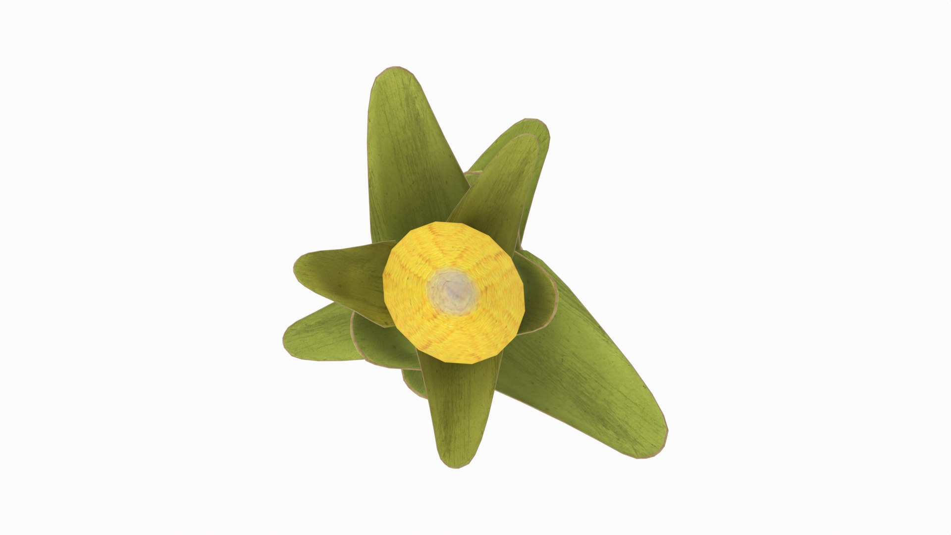 Corn Plant 3D model https://p.turbosquid.com/ts-thumb/NI/iW9vmp/Uq/16_corn_top/png/1778806909/1920x1080/fit_q87/523008428592ab728ea7fc3d4341a53e025627bc/16_corn_top.jpg