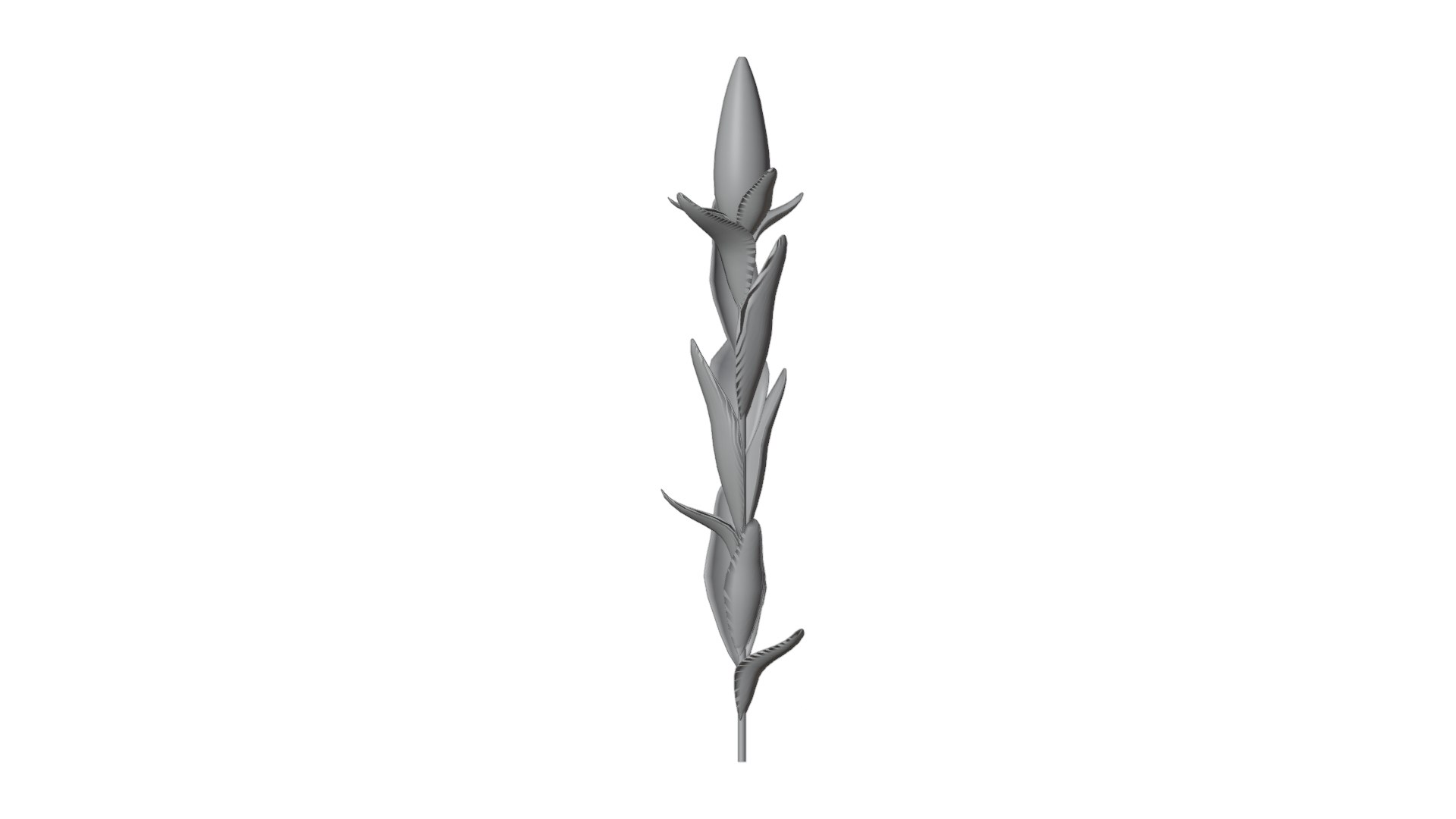Corn Plant 3D model https://p.turbosquid.com/ts-thumb/NI/iW9vmp/ju/24_corn_solid/png/1778806979/1920x1080/fit_q87/ce44d4ec9e8ab635e32172a6b2639d7ef7a6992d/24_corn_solid.jpg