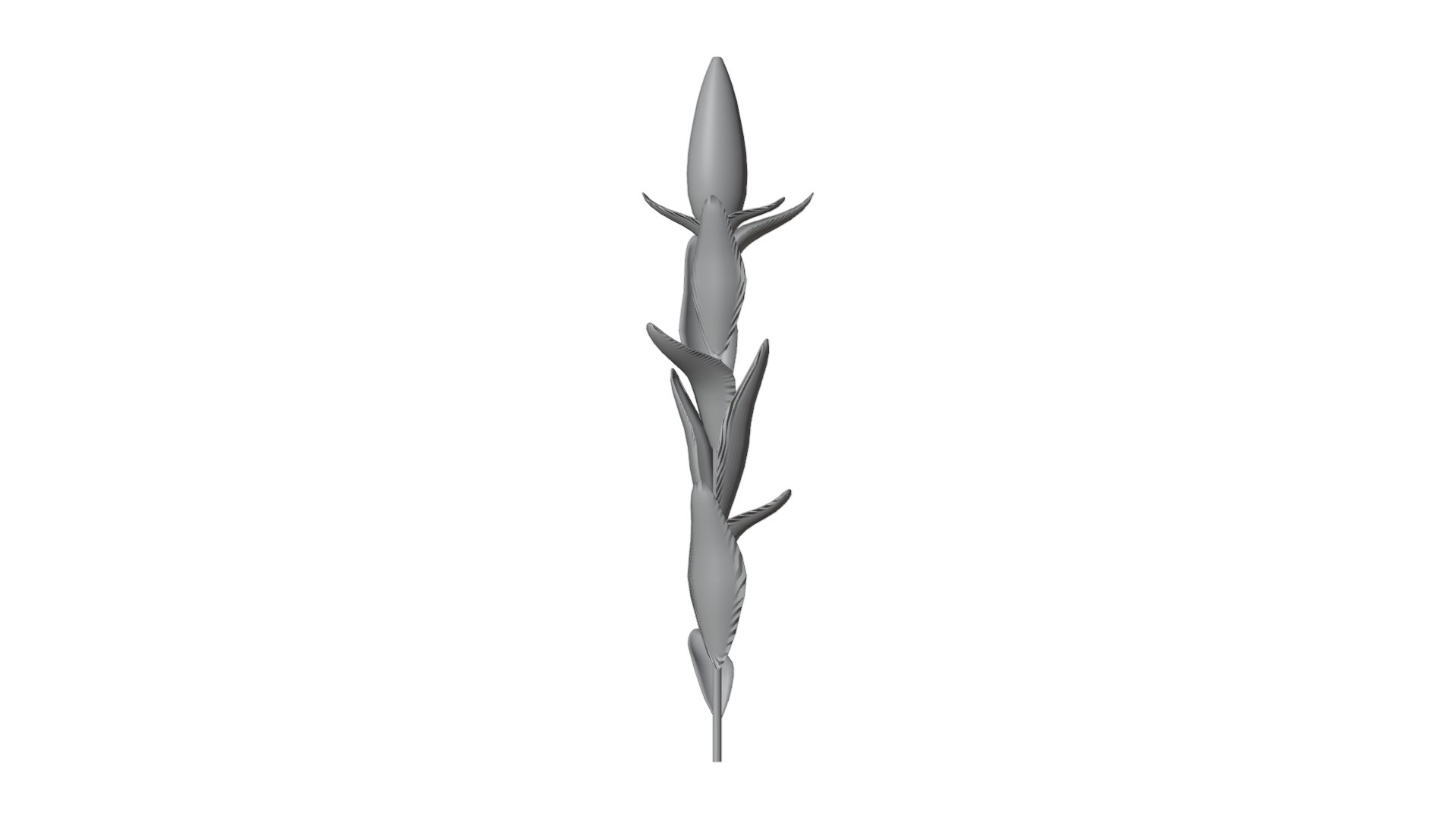 Corn Plant 3D model https://p.turbosquid.com/ts-thumb/NI/iW9vmp/oJ/18_corn_solid/png/1778806975/1920x1080/fit_q87/8df1c2f230593e84bd518b636733e7a4a9851f3e/18_corn_solid.jpg