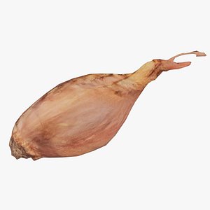 Onion Remastered 3D model