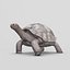 realistic giant tortoise max