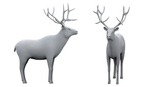 Deer 3D