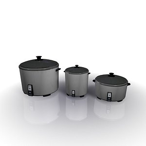 Rice Cooker3