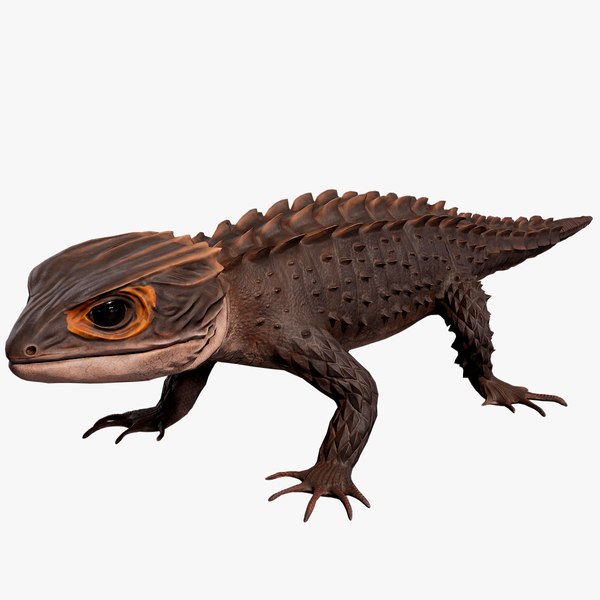 3D Crocodile Skink PBR