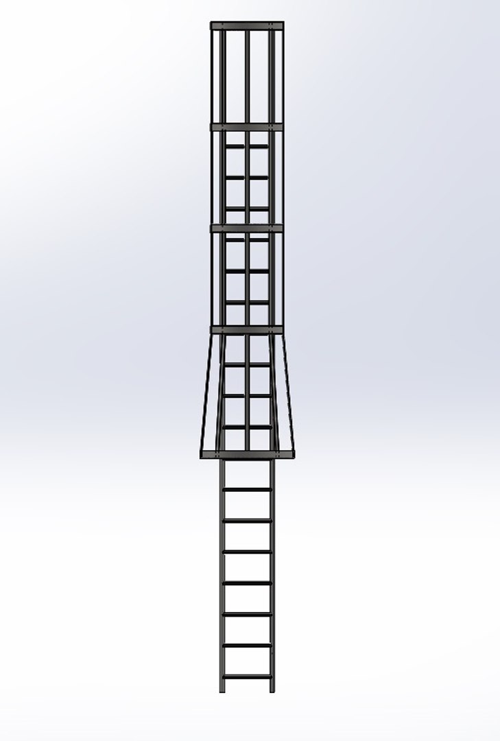 Solidworks Ladder Safety Cage 3D - TurboSquid 1181581