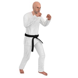 rigged karate 1 model