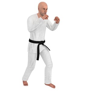 Karate Fighter 1 Rigged