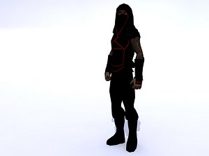 Ninja
