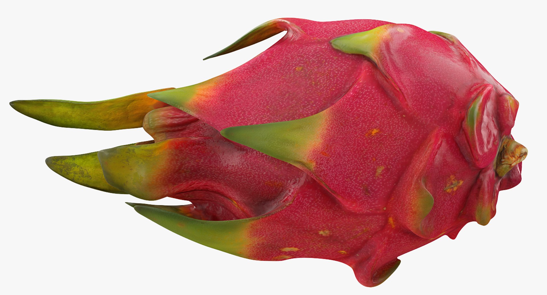 red dragon fruit 3D model https://p.turbosquid.com/ts-thumb/NJ/SYS097/HEgwwGTL/wholereddragonfruitc4dmodel003/jpg/1497602142/1920x1080/fit_q87/ca92d50b3d3728061828abc353fb5982b952d8bf/wholereddragonfruitc4dmodel003.jpg