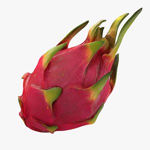 red dragon fruit 3D model