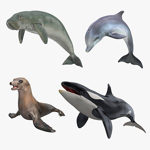 3D marine mammals 3