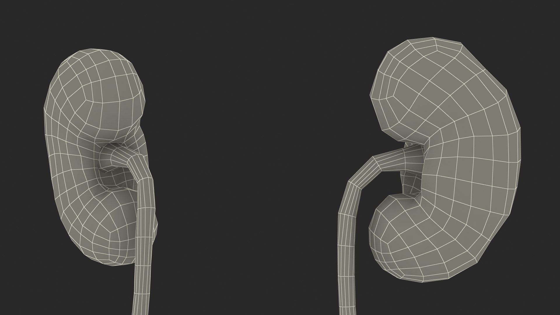 3D model Female Reproductive System https://p.turbosquid.com/ts-thumb/NJ/ueOi6K/Bm/femalereproductivesystem3dmodel031/jpg/1641993111/1920x1080/fit_q87/db4066be6b5d7a429775c5b65e439b33671a5e63/femalereproductivesystem3dmodel031.jpg