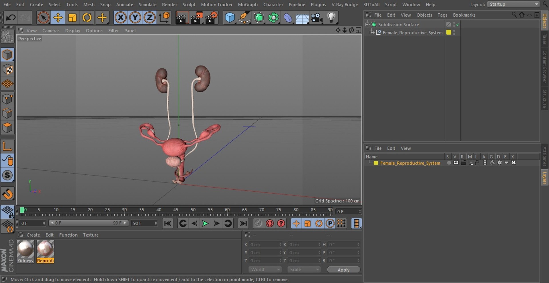 3D model Female Reproductive System https://p.turbosquid.com/ts-thumb/NJ/ueOi6K/NW/femalereproductivesystem3dmodel027/jpg/1641993100/1920x1080/fit_q87/db489ece4016280e08a913fc5a20f7ebce2f853f/femalereproductivesystem3dmodel027.jpg
